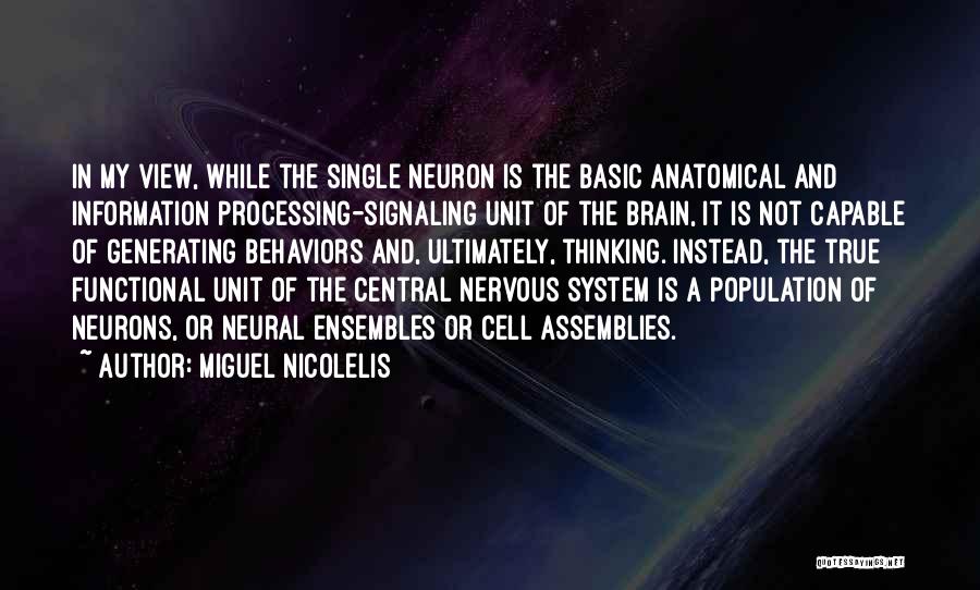 Miguel Nicolelis Quotes 1801018