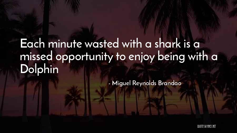 Miguel Reynolds Brandao Quotes 1220836