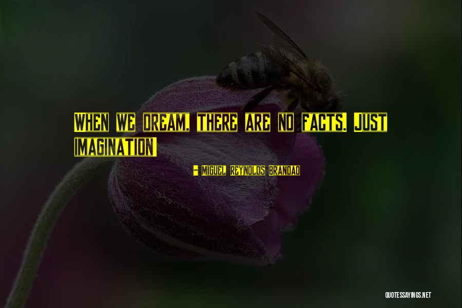 Miguel Reynolds Brandao Quotes 1260001 Miguel Reynolds Brandao Quotes 1260001