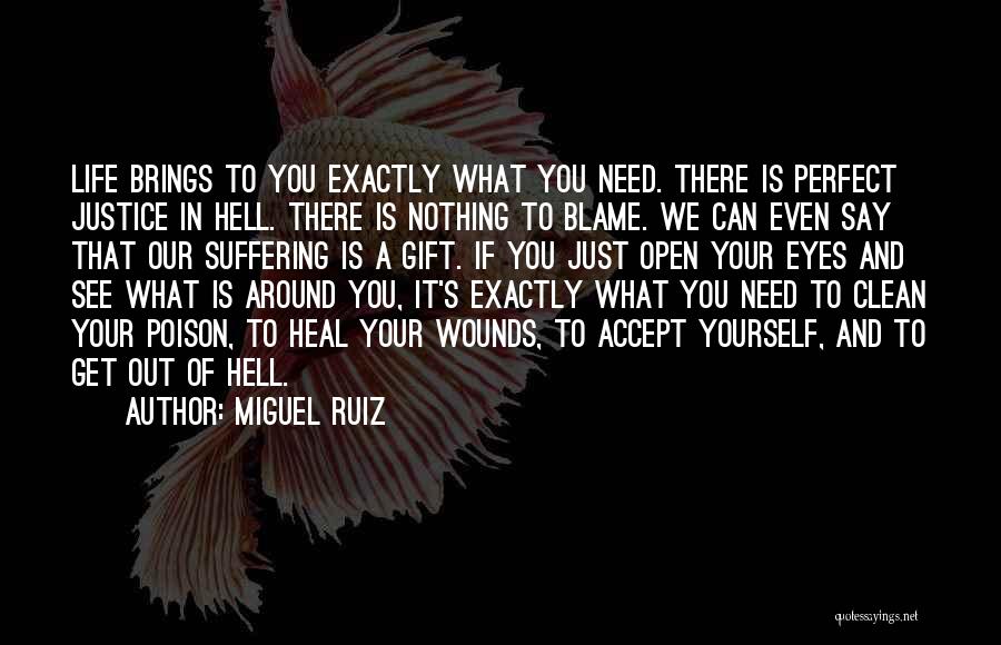 Miguel Ruiz Quotes 1491873