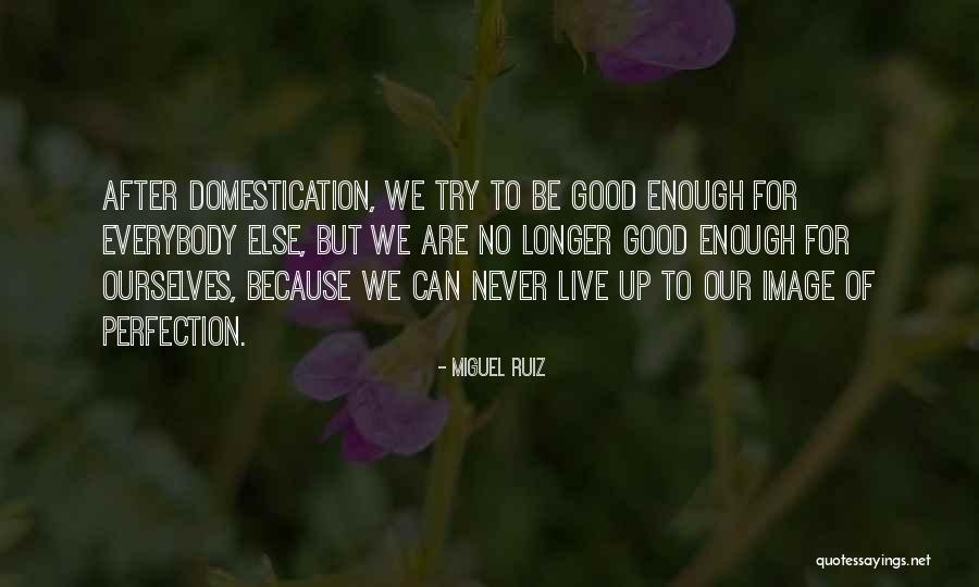 Miguel Ruiz Quotes 1616513