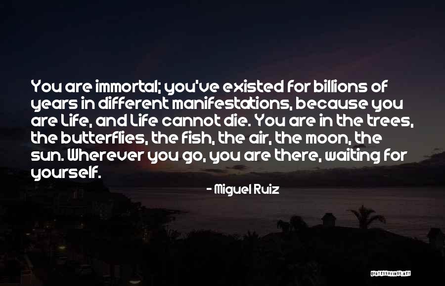 Miguel Ruiz Quotes 1673089