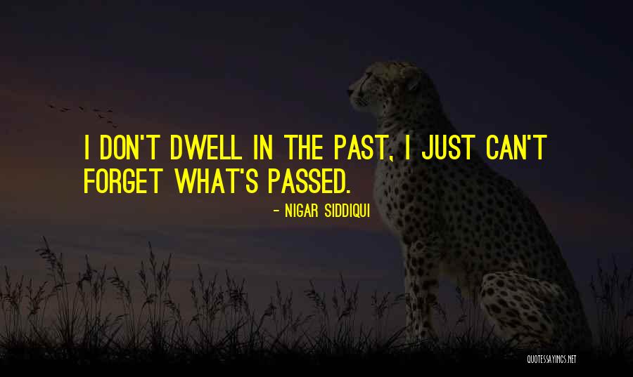Miguelete Quotes By Nigar Siddiqui Miguelete Quotes By Nigar Siddiqui