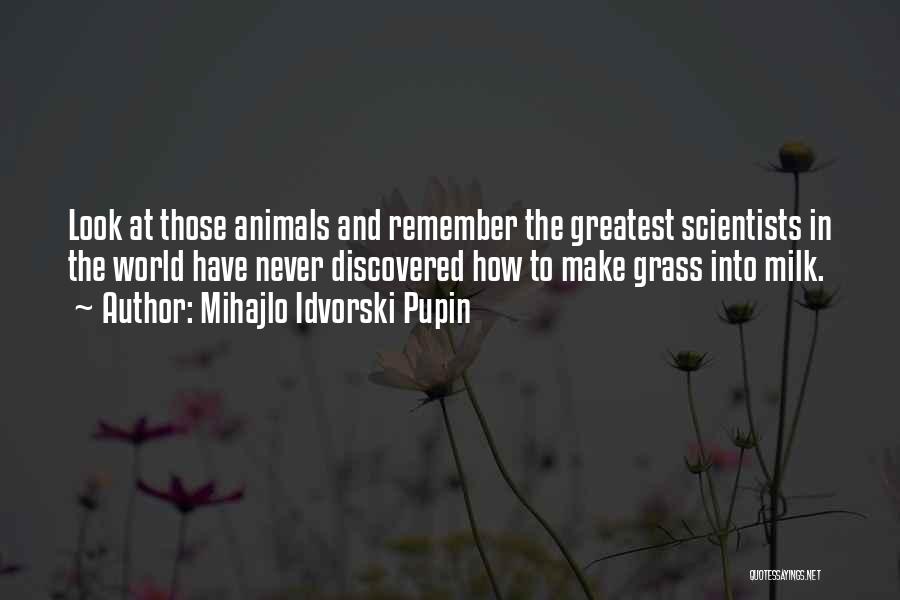 Mihajlo Pupin Quotes By Mihajlo Idvorski Pupin