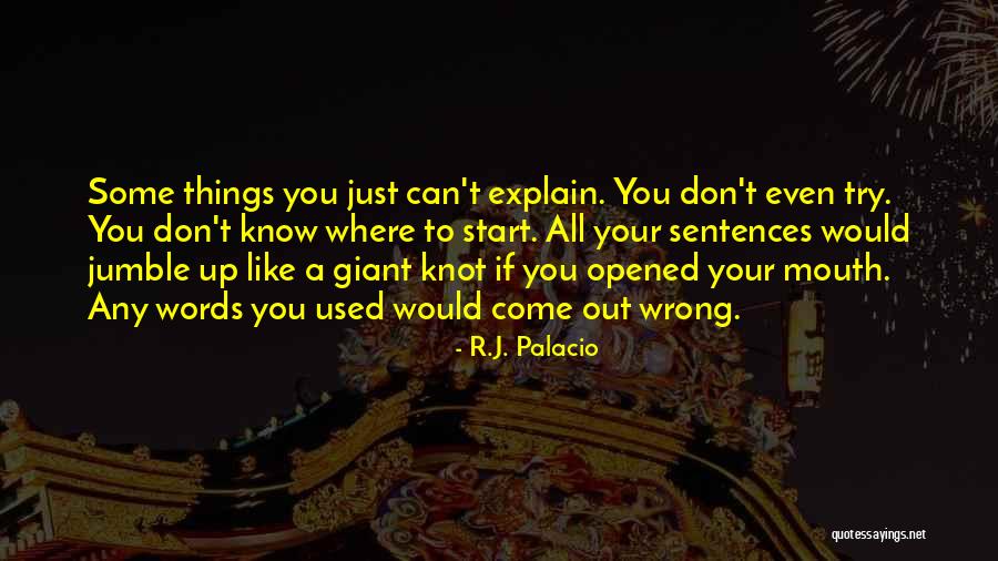 Mihalcea Andrei Quotes By R.J. Palacio Mihalcea Andrei Quotes By R.J. Palacio