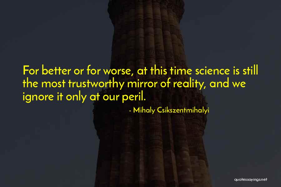 Mihaly Csikszentmihalyi Quotes 1039854