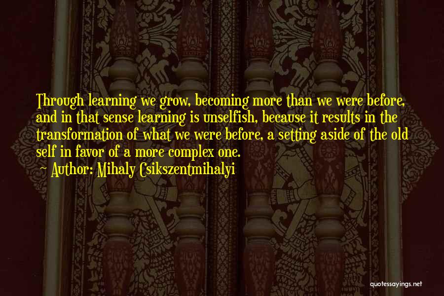 Mihaly Csikszentmihalyi Quotes 1082342