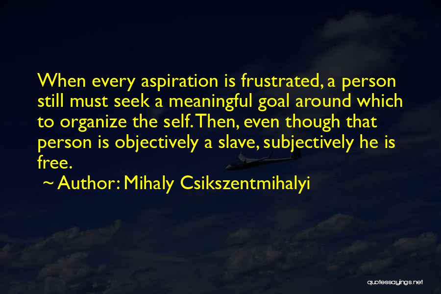 Mihaly Csikszentmihalyi Quotes 1095614
