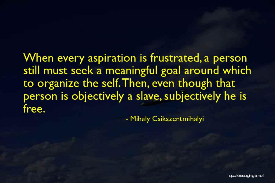 Mihaly Csikszentmihalyi Quotes 1095614