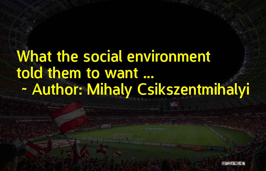 Mihaly Csikszentmihalyi Quotes 1123170