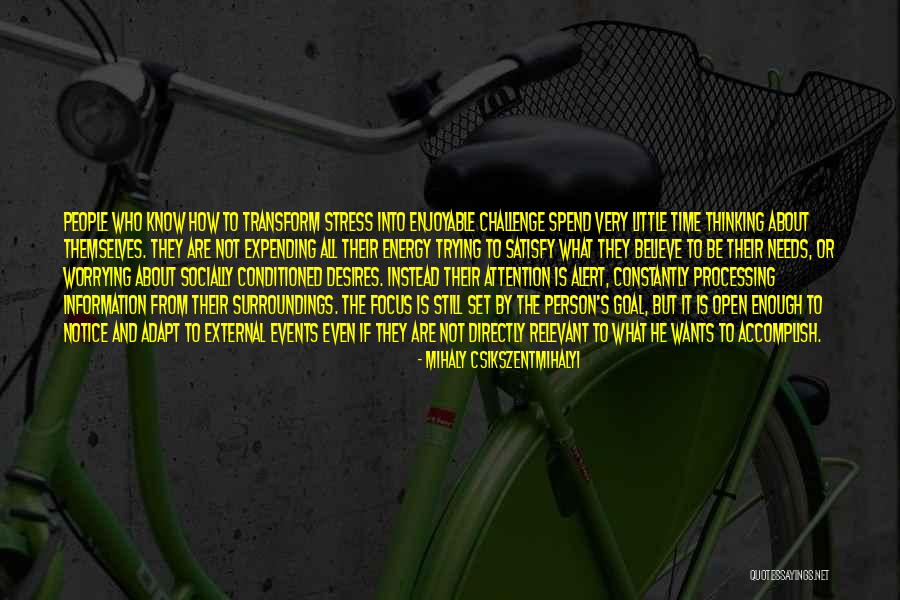 Mihaly Csikszentmihalyi Quotes 1321416 Mihaly Csikszentmihalyi Quotes 1321416