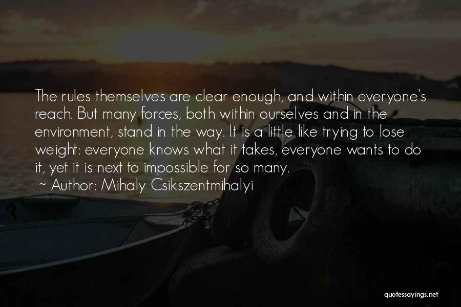 Mihaly Csikszentmihalyi Quotes 1382707