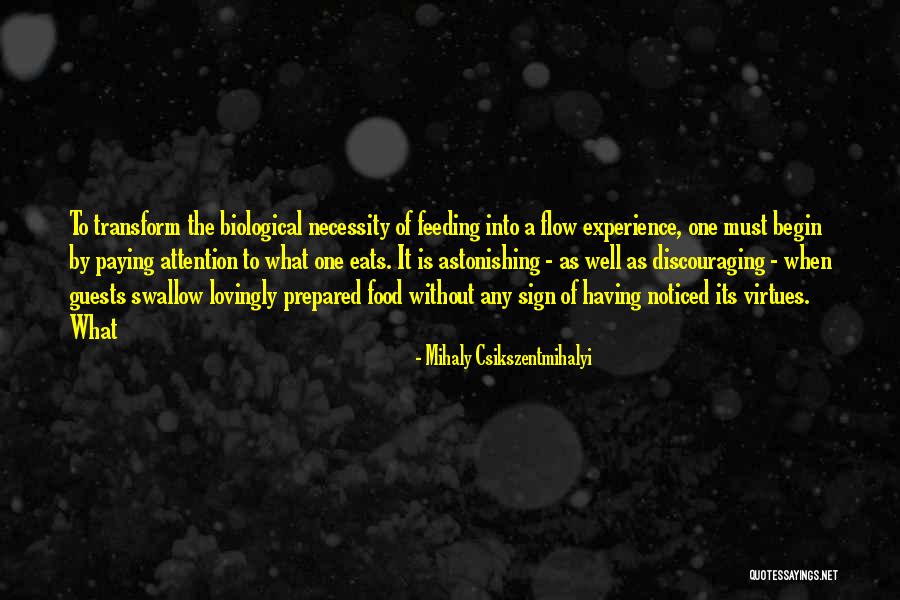 Mihaly Csikszentmihalyi Quotes 1566228 Mihaly Csikszentmihalyi Quotes 1566228