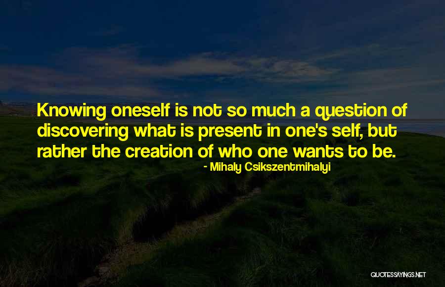 Mihaly Csikszentmihalyi Quotes 168480