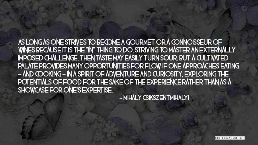 Mihaly Csikszentmihalyi Quotes 1925191