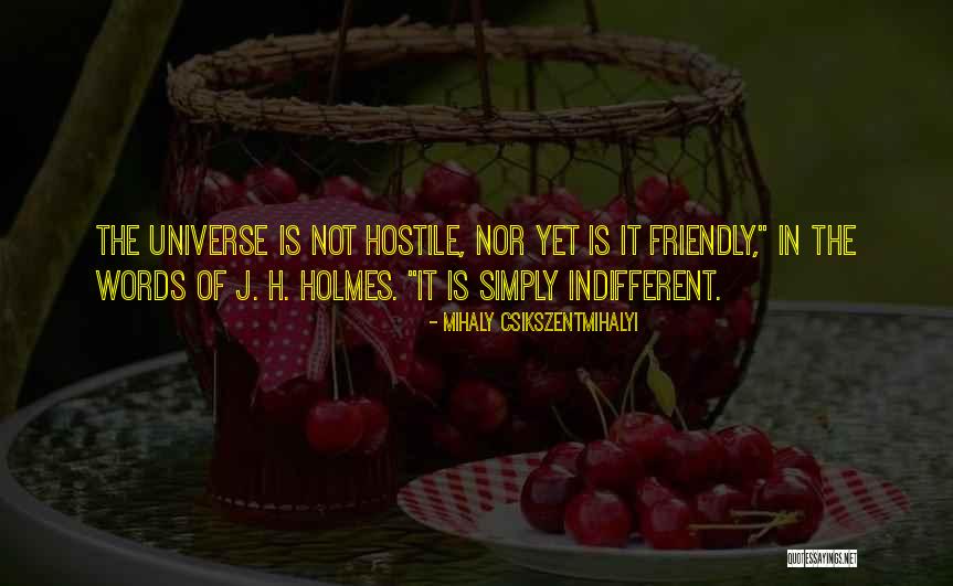 Mihaly Csikszentmihalyi Quotes 195780 Mihaly Csikszentmihalyi Quotes 195780