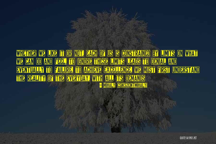 Mihaly Csikszentmihalyi Quotes 2005234 Mihaly Csikszentmihalyi Quotes 2005234