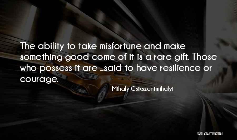 Mihaly Csikszentmihalyi Quotes 289003