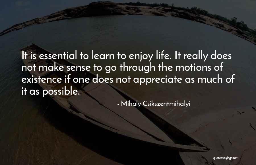 Mihaly Csikszentmihalyi Quotes 328471