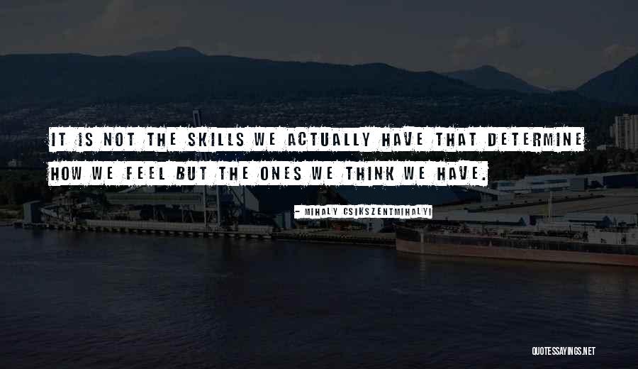 Mihaly Csikszentmihalyi Quotes 472583 Mihaly Csikszentmihalyi Quotes 472583