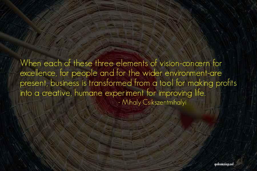 Mihaly Csikszentmihalyi Quotes 997434