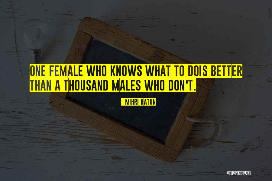 Mihri Quotes By Mihri Hatun Mihri Quotes By Mihri Hatun