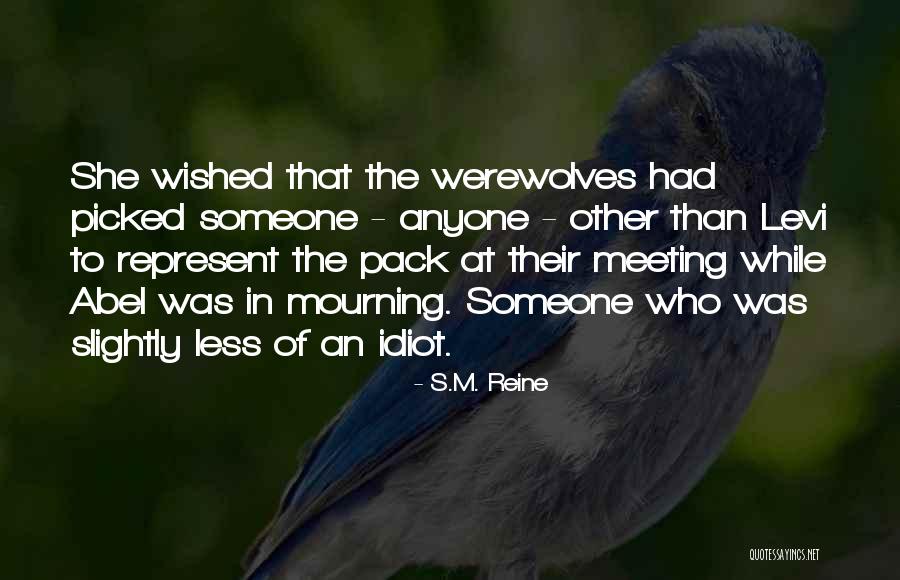 Mijael Rodriguez Quotes By S.M. Reine Mijael Rodriguez Quotes By S.M. Reine