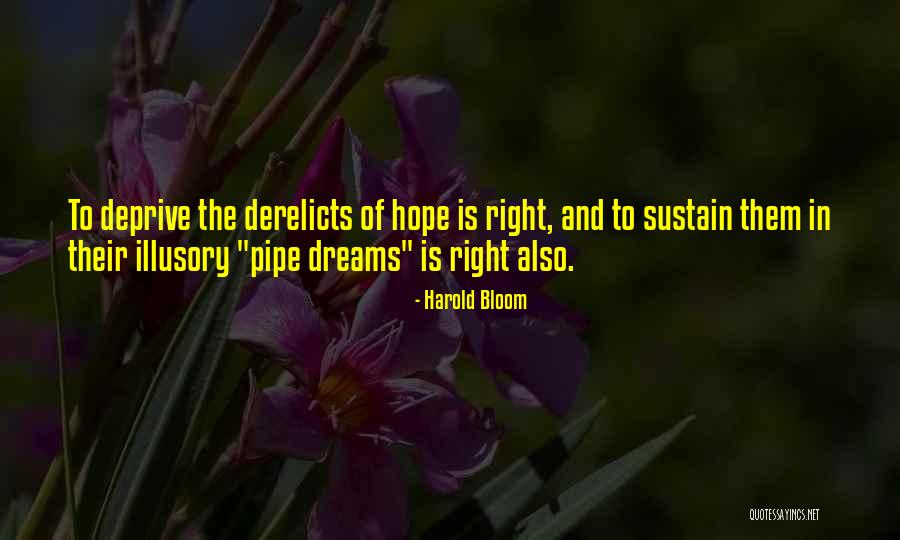 Mijas Translation Quotes By Harold Bloom Mijas Translation Quotes By Harold Bloom