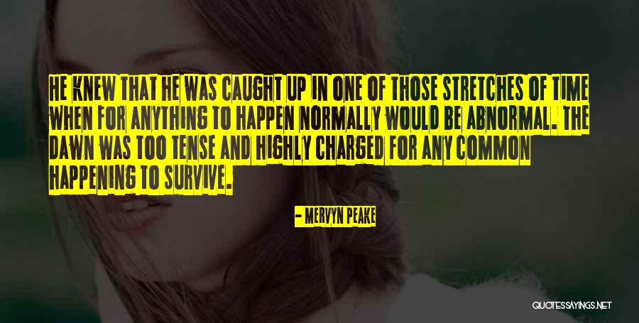 Mijatov Doo Quotes By Mervyn Peake Mijatov Doo Quotes By Mervyn Peake