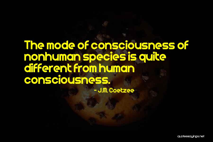 Mikaal Zulfiqar Quotes By J.M. Coetzee Mikaal Zulfiqar Quotes By J.M. Coetzee