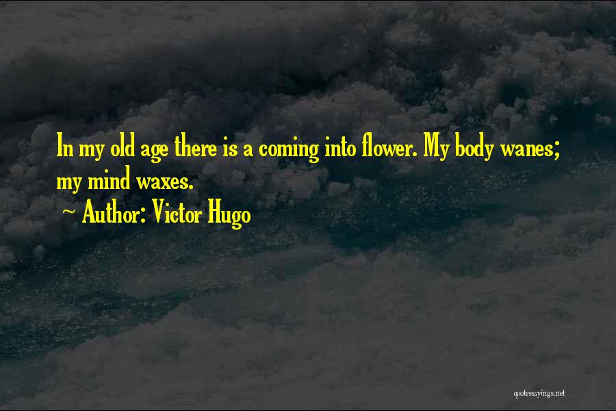 Mikaelsson Catheter Quotes By Victor Hugo