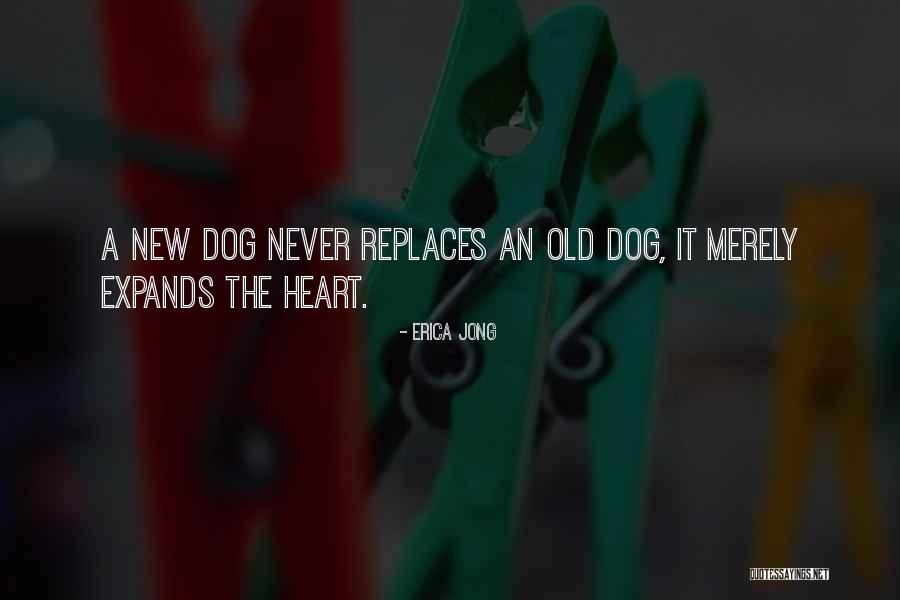 Mikawa Japan Quotes By Erica Jong