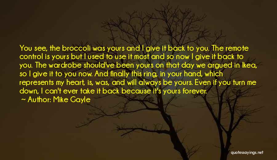 Mike Gayle Quotes 1596148