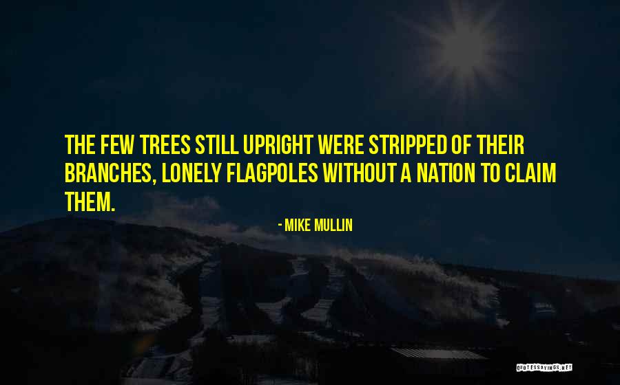 Mike Mullin Quotes 893391 Mike Mullin Quotes 893391