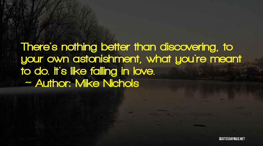 Mike Nichols Quotes 1978180