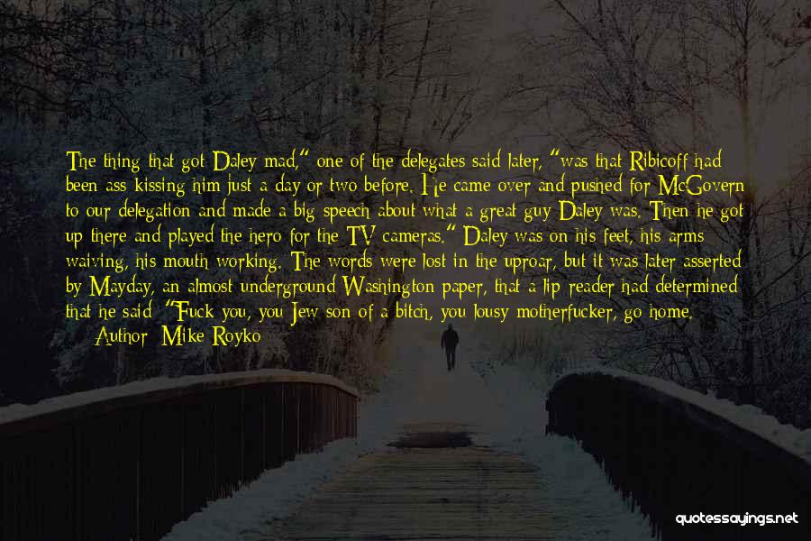Mike Royko Quotes 250649