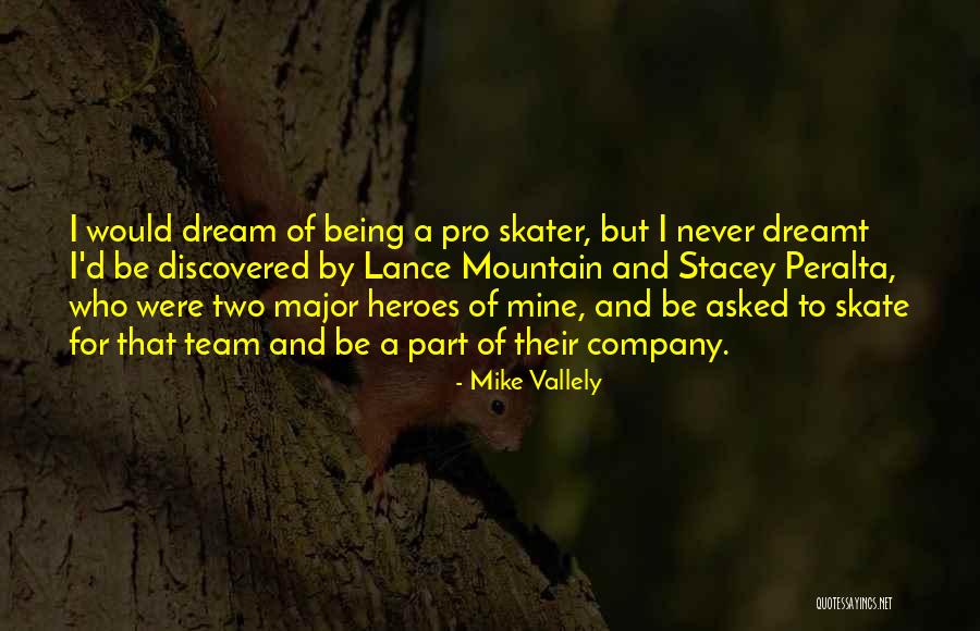 Mike Vallely Quotes 1965404