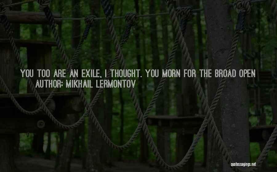 Mikhail Lermontov Quotes 325211