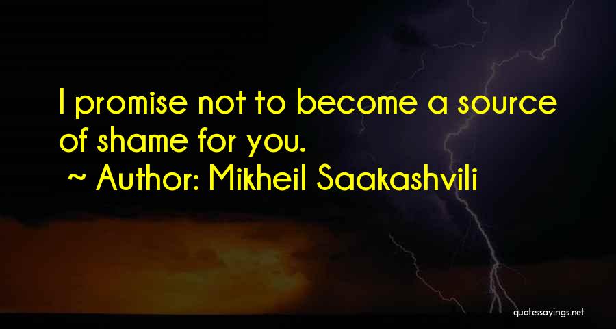 Mikheil Saakashvili Quotes 133229