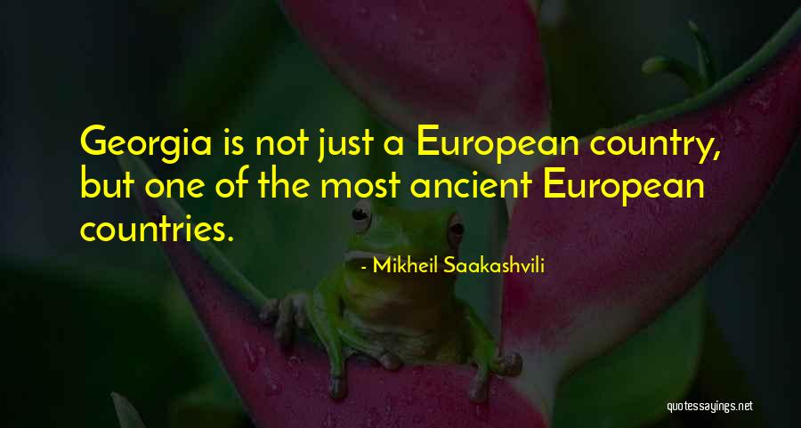 Mikheil Saakashvili Quotes 1971191