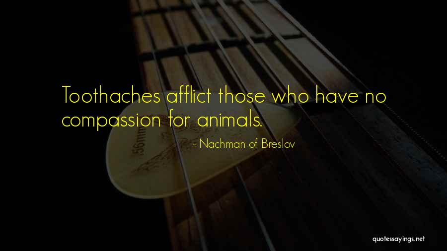 Mikkelborg Attorney Quotes By Nachman Of Breslov Mikkelborg Attorney Quotes By Nachman Of Breslov