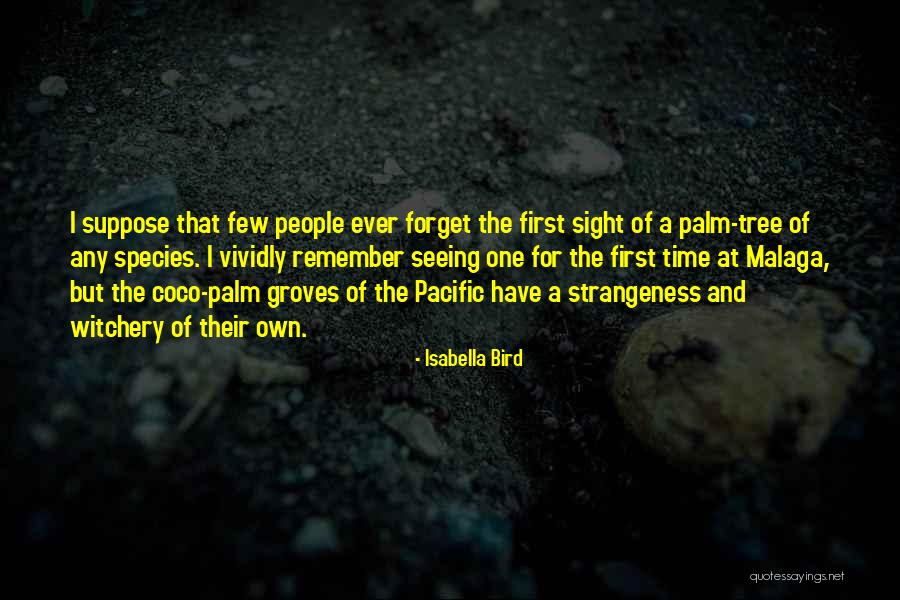 Mikki Jamison Quotes By Isabella Bird Mikki Jamison Quotes By Isabella Bird