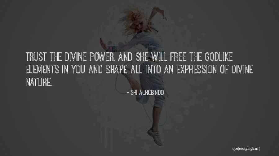 Milan Hejduk Quotes By Sri Aurobindo Milan Hejduk Quotes By Sri Aurobindo