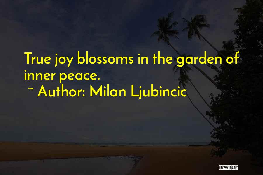 Milan Ljubincic Quotes 954364
