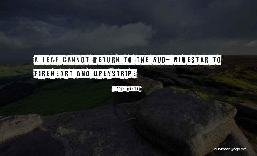 Milano Cookies Quotes By Erin Hunter Milano Cookies Quotes By Erin Hunter