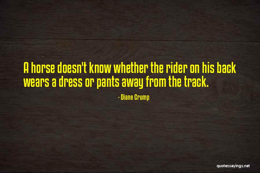 Milarepas Cave Quotes By Diane Crump Milarepas Cave Quotes By Diane Crump