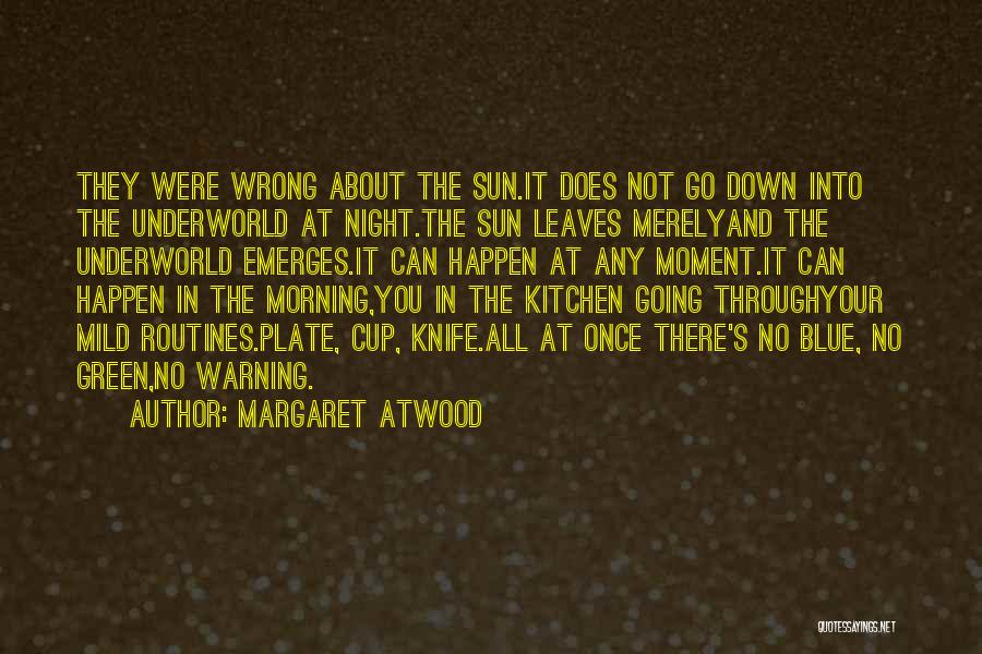 Mild Depression Quotes By Margaret Atwood