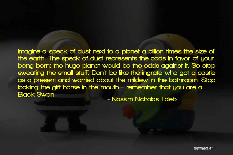 Mildew Quotes By Nassim Nicholas Taleb Mildew Quotes By Nassim Nicholas Taleb