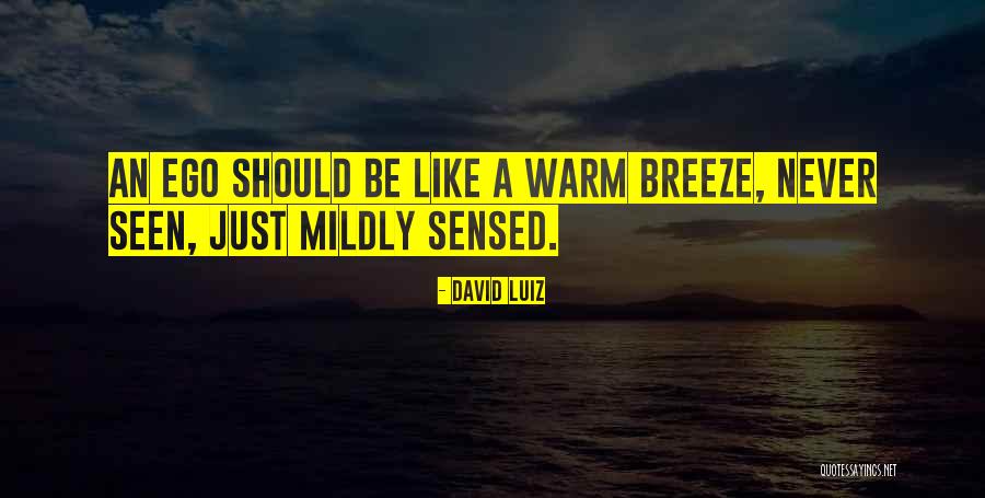 Mildly Quotes By David Luiz Mildly Quotes By David Luiz