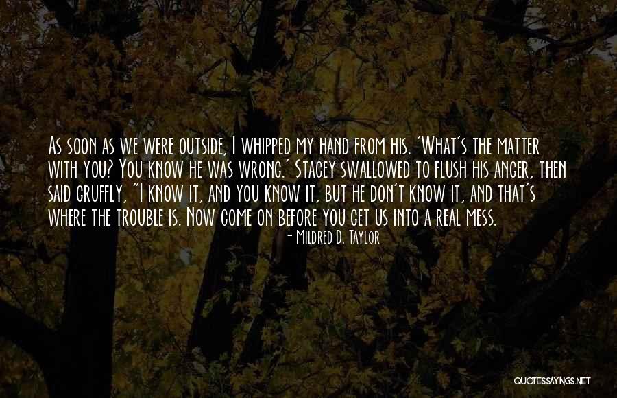 Mildred D. Taylor Quotes 299331 Mildred D. Taylor Quotes 299331